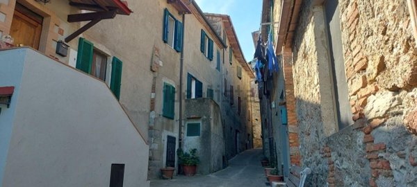 appartamento in vendita a Campagnatico in zona Montorsaio