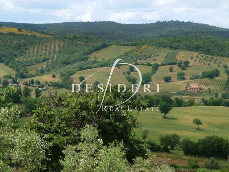 terreno agricolo in vendita a Campagnatico