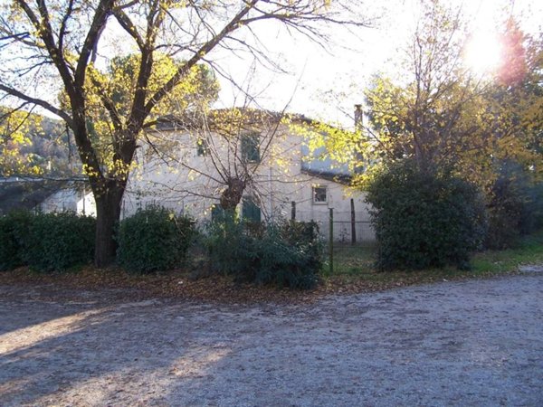 negozio in vendita a Campagnatico