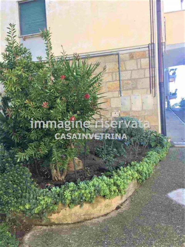 appartamento in vendita a Campagnatico