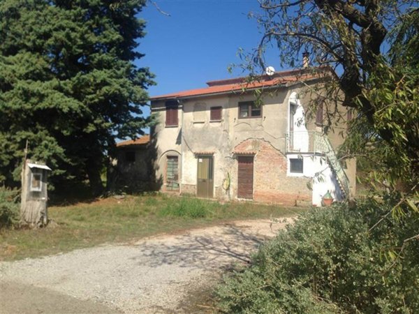 azienda agricola in vendita a Campagnatico