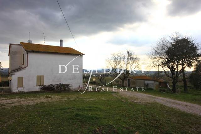 esavano in vendita a Campagnatico