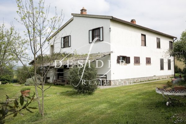 negozio in vendita a Campagnatico