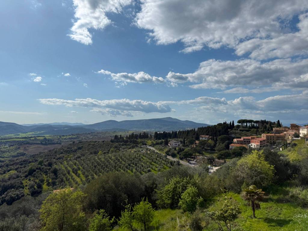 appartamento in vendita a Campagnatico