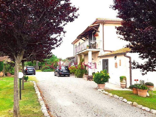negozio in vendita a Campagnatico in zona Arcille