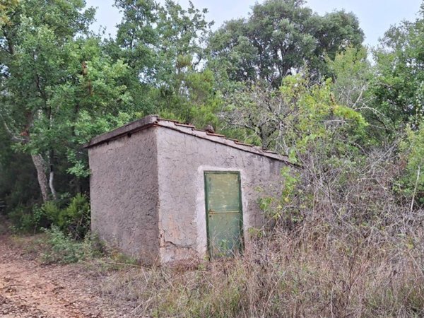 casa indipendente in vendita a Campagnatico in zona Montorsaio