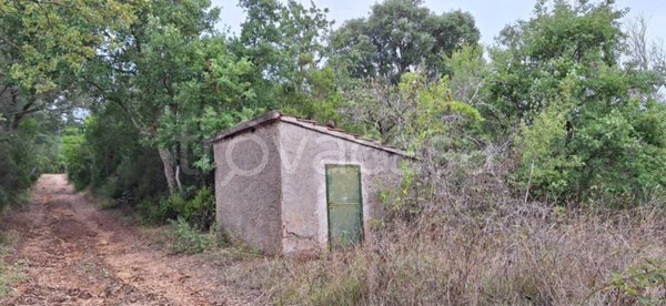 monolocale in vendita a Campagnatico in zona Montorsaio