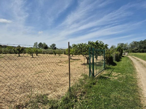 terreno agricolo in vendita a Campagnatico