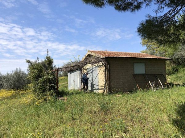 casa indipendente in vendita a Campagnatico