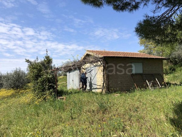 appartamento in vendita a Campagnatico