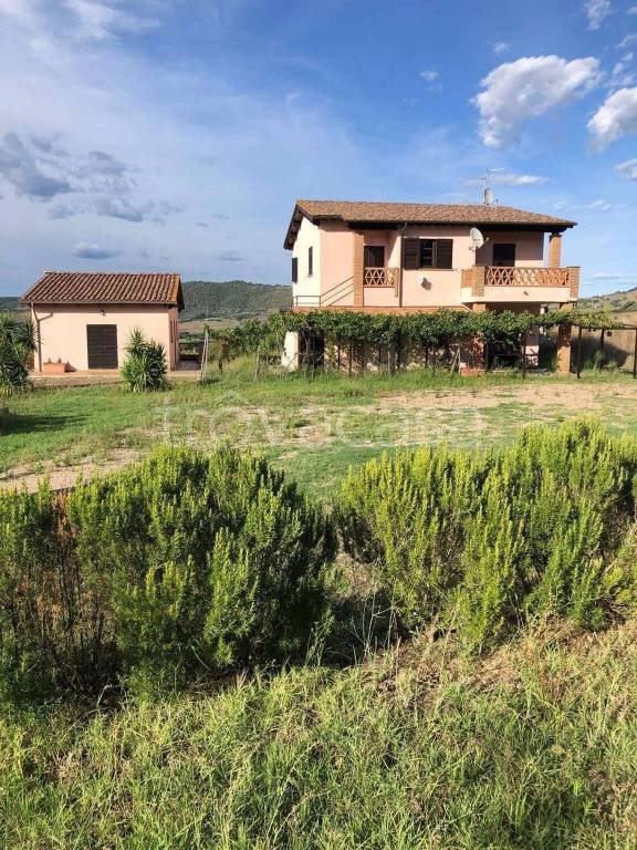 casa indipendente in vendita a Campagnatico in zona Arcille