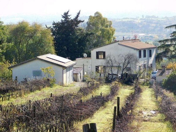 casale in vendita a Campagnatico
