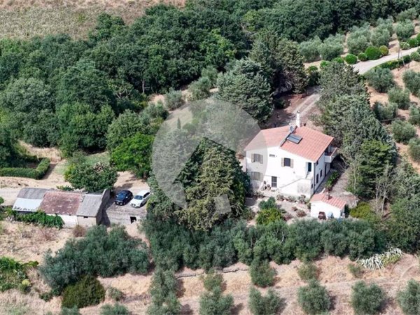 appartamento in vendita a Campagnatico in zona Arcille