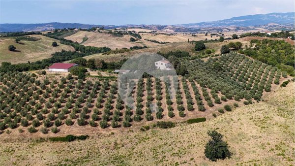 appartamento in vendita a Campagnatico in zona Arcille