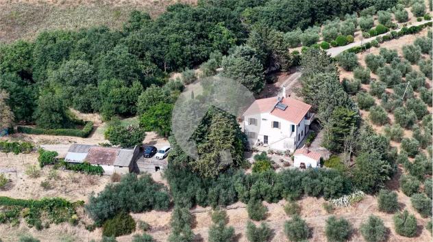 azienda agricola in vendita a Campagnatico in zona Arcille