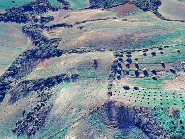 terreno agricolo in vendita a Campagnatico in zona Montorsaio