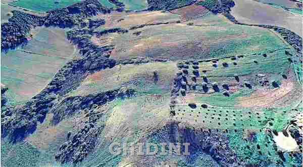 terreno agricolo in vendita a Campagnatico in zona Montorsaio