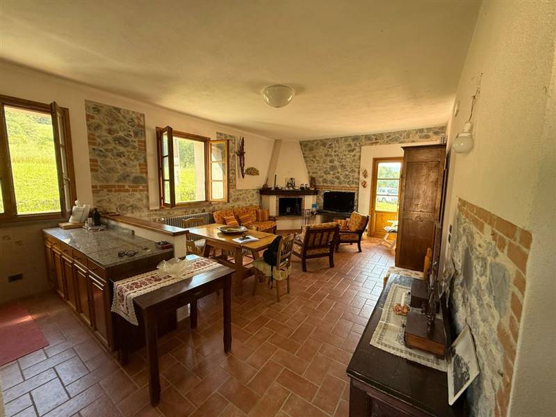 casa indipendente in vendita a Campagnatico in zona Arcille