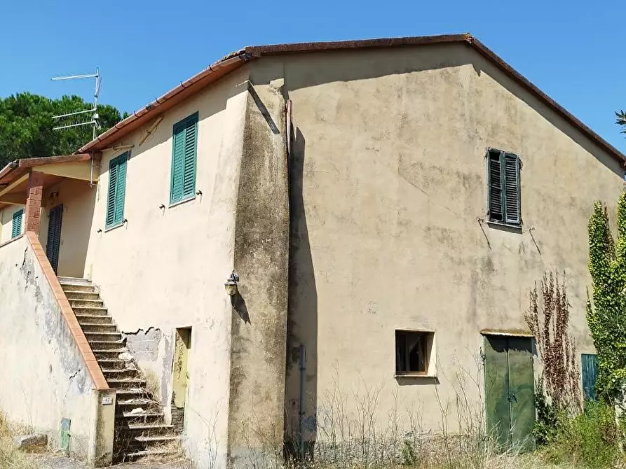 azienda agricola in vendita a Campagnatico in zona Arcille