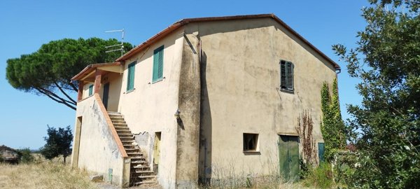 azienda agricola in vendita a Campagnatico in zona Arcille
