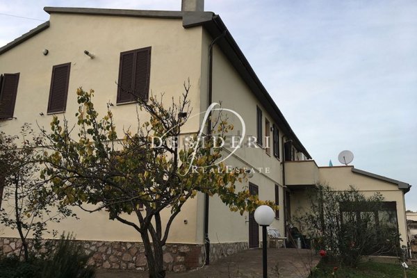 azienda agricola in vendita a Campagnatico