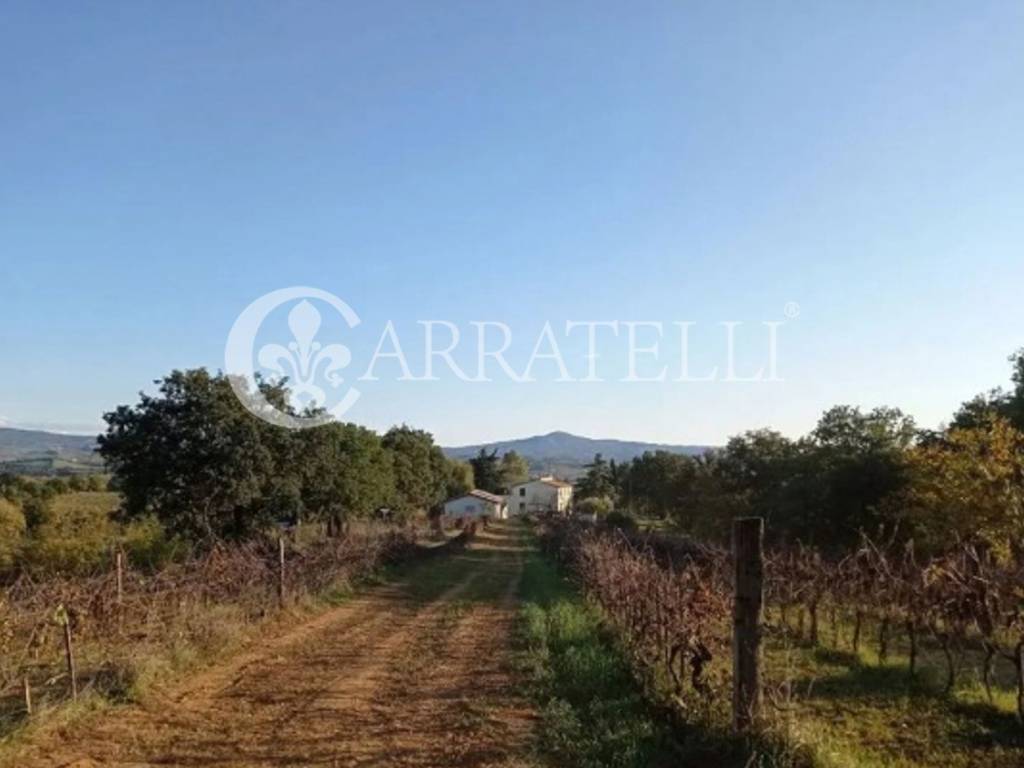 casa indipendente in vendita a Campagnatico