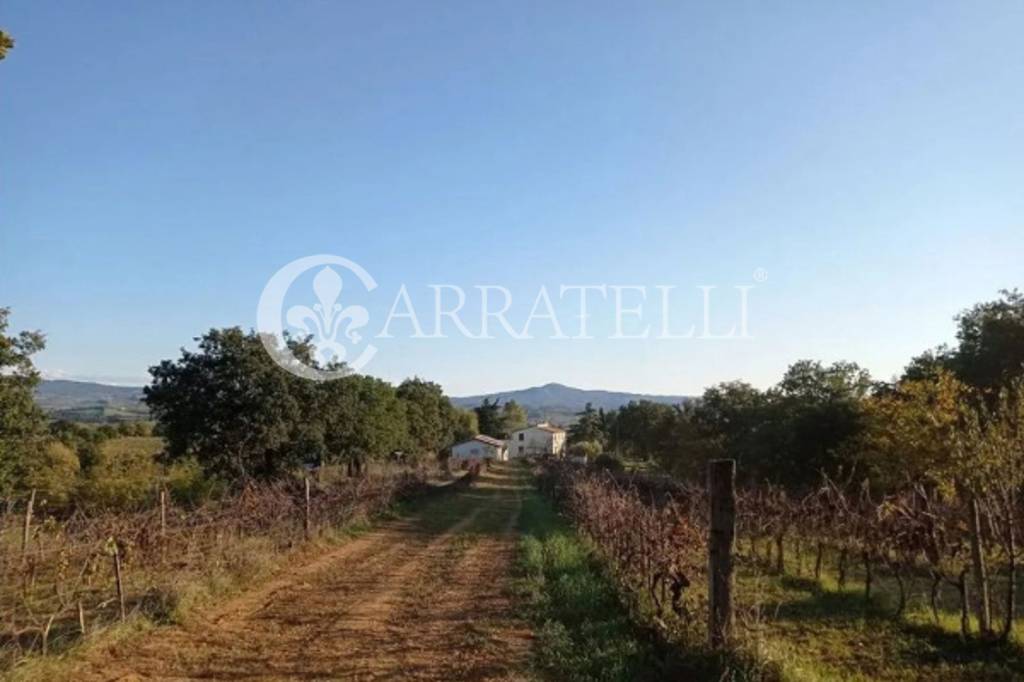 casa indipendente in vendita a Campagnatico