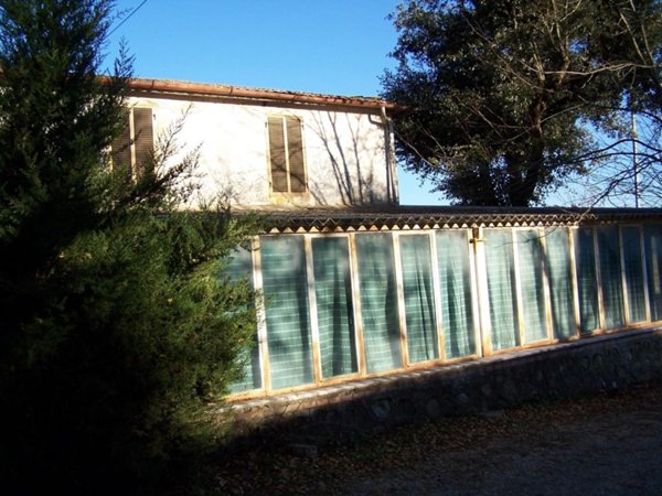 negozio in vendita a Campagnatico