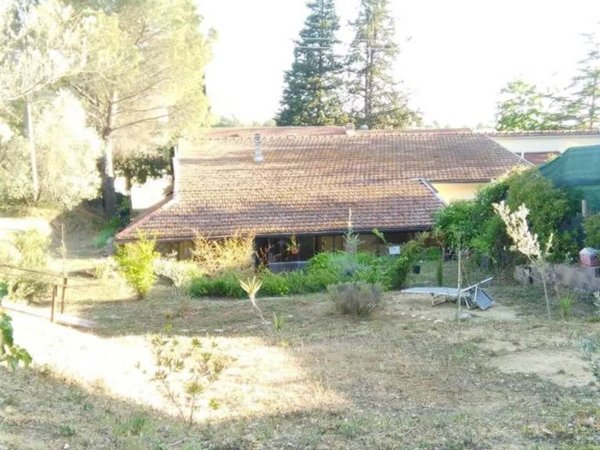 appartamento in vendita a Campagnatico