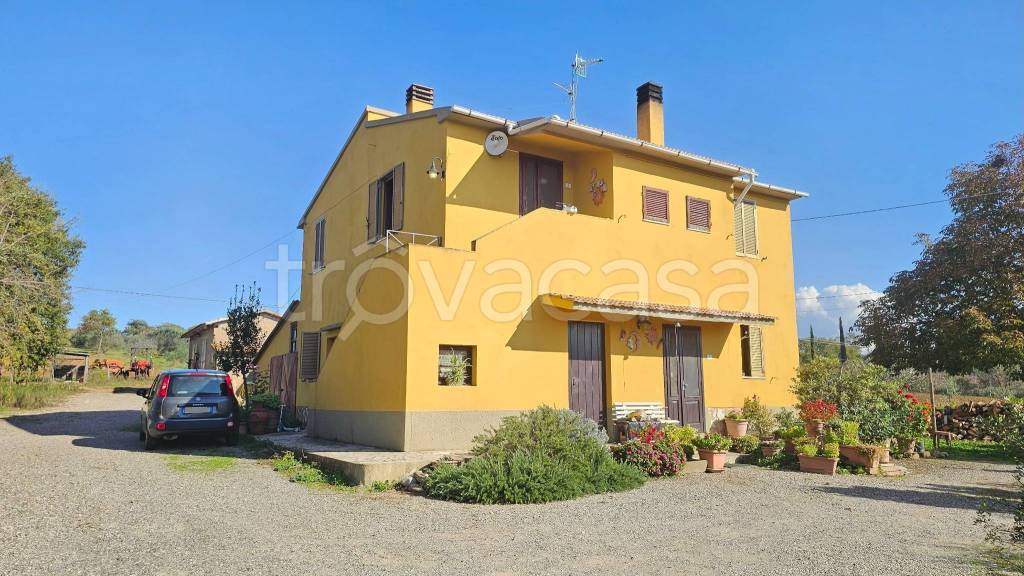 appartamento in vendita a Campagnatico in zona Arcille