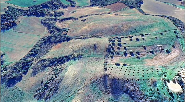 terreno agricolo in vendita a Campagnatico in zona Montorsaio