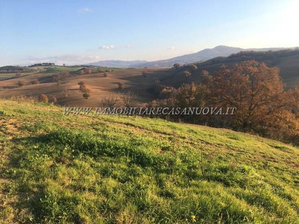terreno agricolo in vendita a Campagnatico