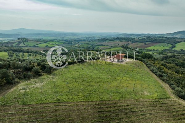 azienda agricola in vendita a Campagnatico