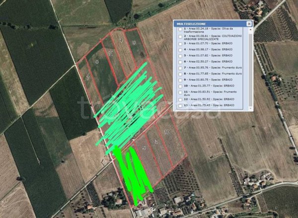terreno agricolo in vendita a Campagnatico