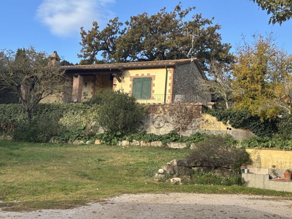 azienda agricola in vendita a Campagnatico in zona Montorsaio