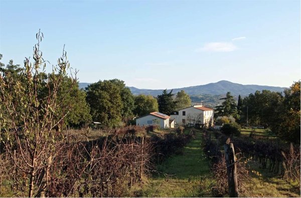 azienda agricola in vendita a Campagnatico