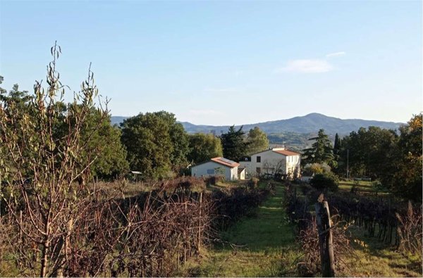 appartamento in vendita a Campagnatico