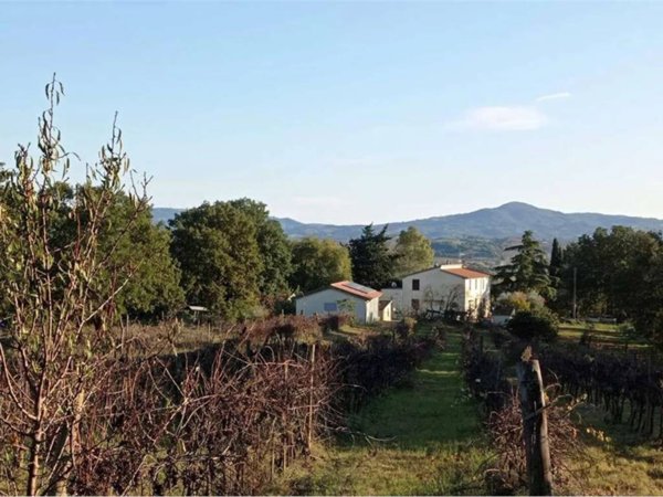 casa indipendente in vendita a Campagnatico