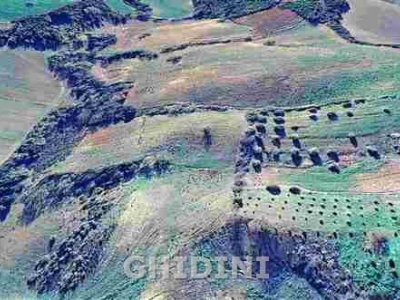 terreno agricolo in vendita a Campagnatico in zona Montorsaio