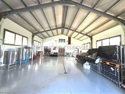 azienda agricola in vendita a Campagnatico