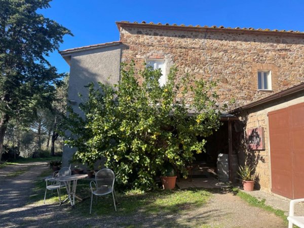 casa indipendente in vendita a Campagnatico