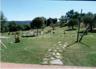 appartamento in vendita a Campagnatico in zona Montorsaio