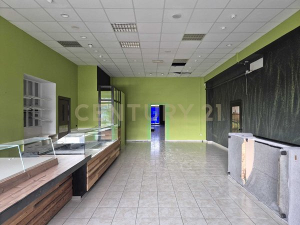 immagine annuncio 0 di 10