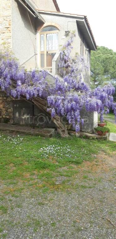 casa indipendente in vendita a Campagnatico