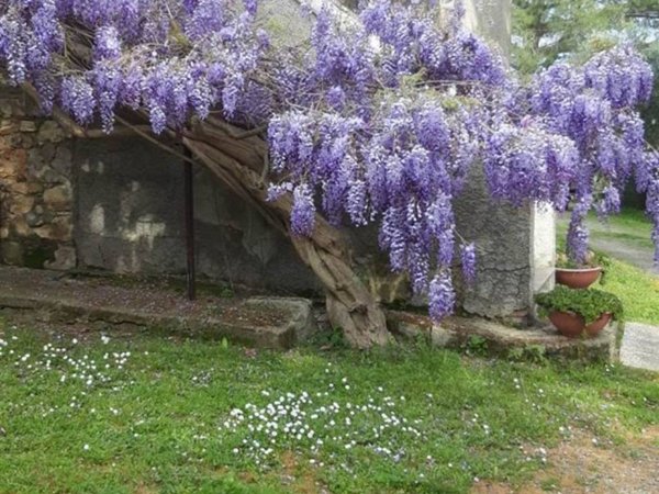 casale in vendita a Campagnatico