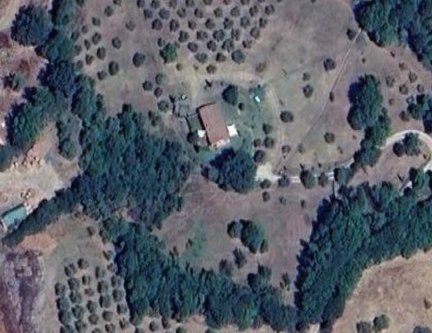 casa indipendente in vendita a Campagnatico in zona Montorsaio