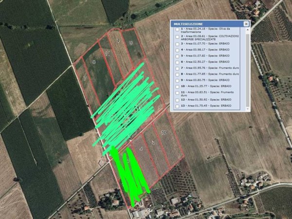terreno agricolo in vendita a Campagnatico