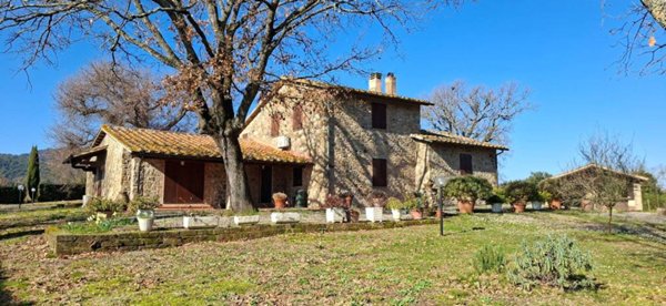 casa indipendente in vendita a Campagnatico