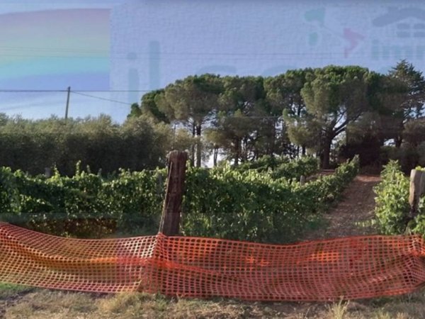 casa indipendente in vendita a Campagnatico