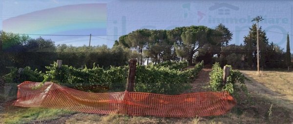 casale in vendita a Campagnatico